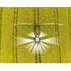 Самоходный опрыскиватель Amazone Pantera 4503