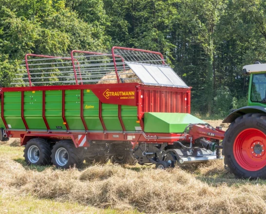 STRAUTMANN Ambion 2 250