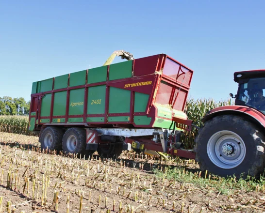 STRAUTMANN Aperion 2401
