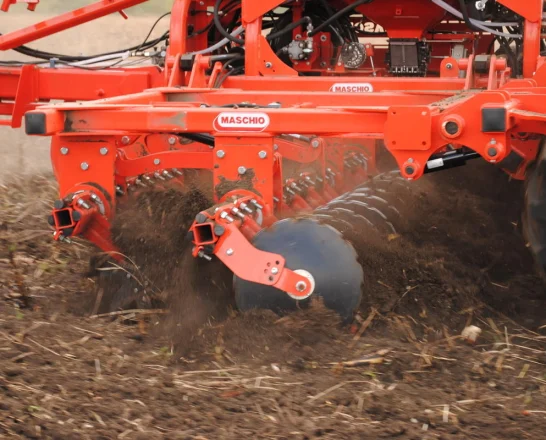 MASCHIO GASPARDO Corone