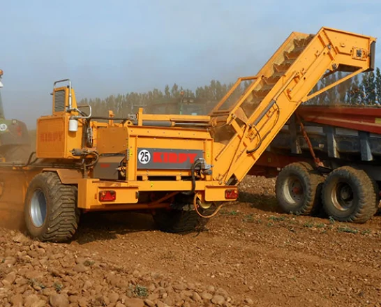 Kirpy RDL 20